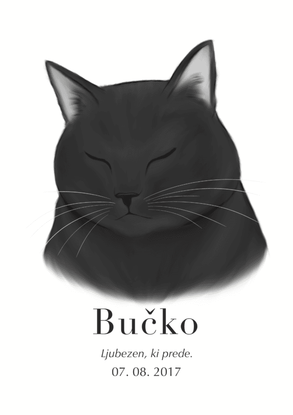 Print Britanska kratkodlaka mačka