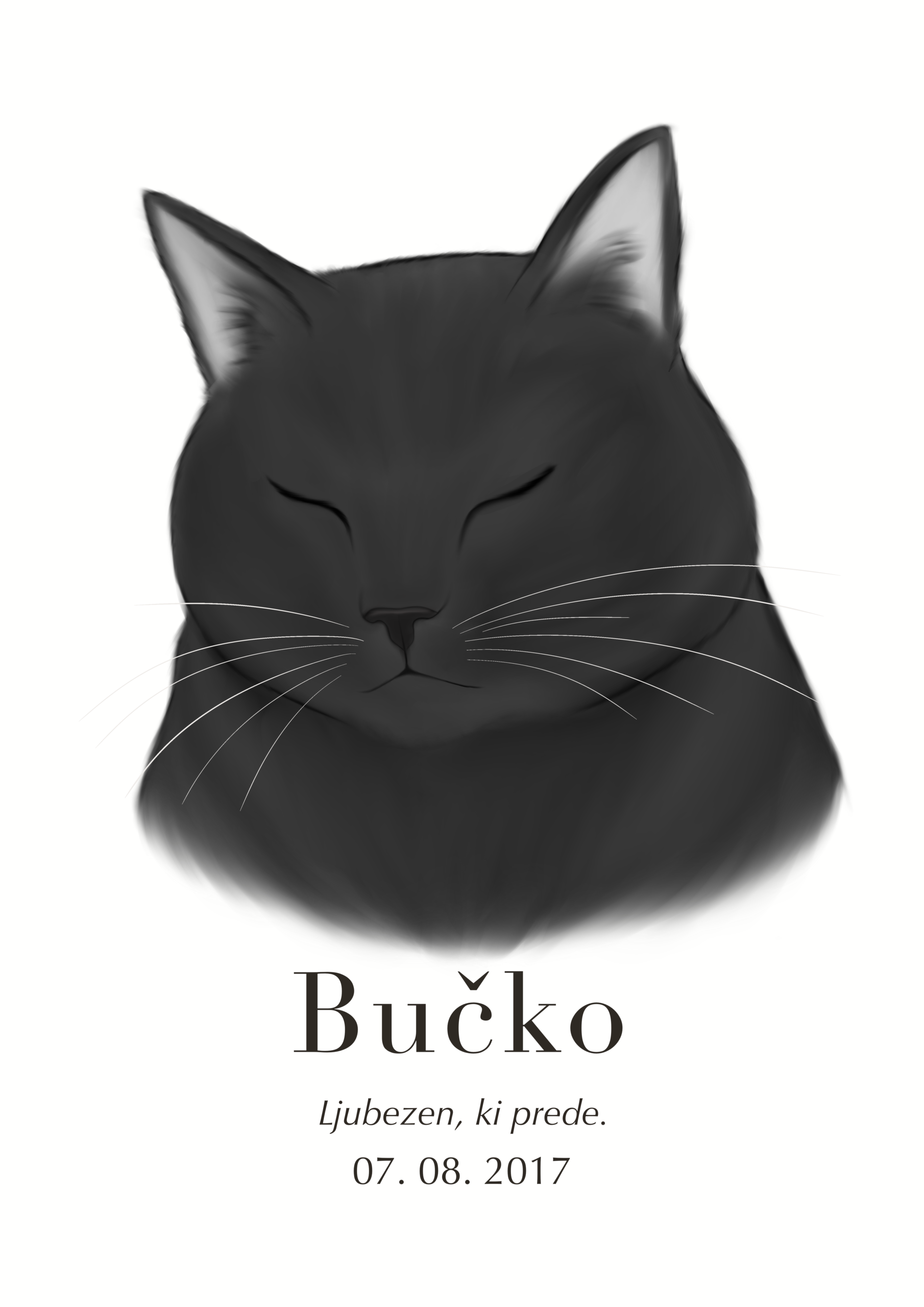 Print Britanska kratkodlaka mačka