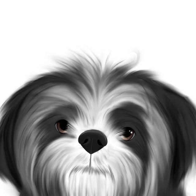 Posebnosti ljubljenčka, ujete v ilustraciji.